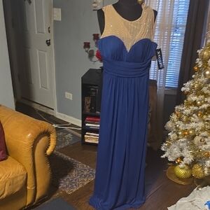 Xscape Royal Blue and Cream Backless Dress